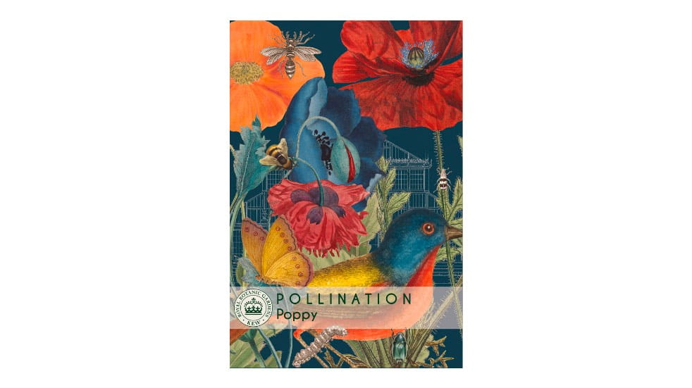 Poppy pollinator seeds